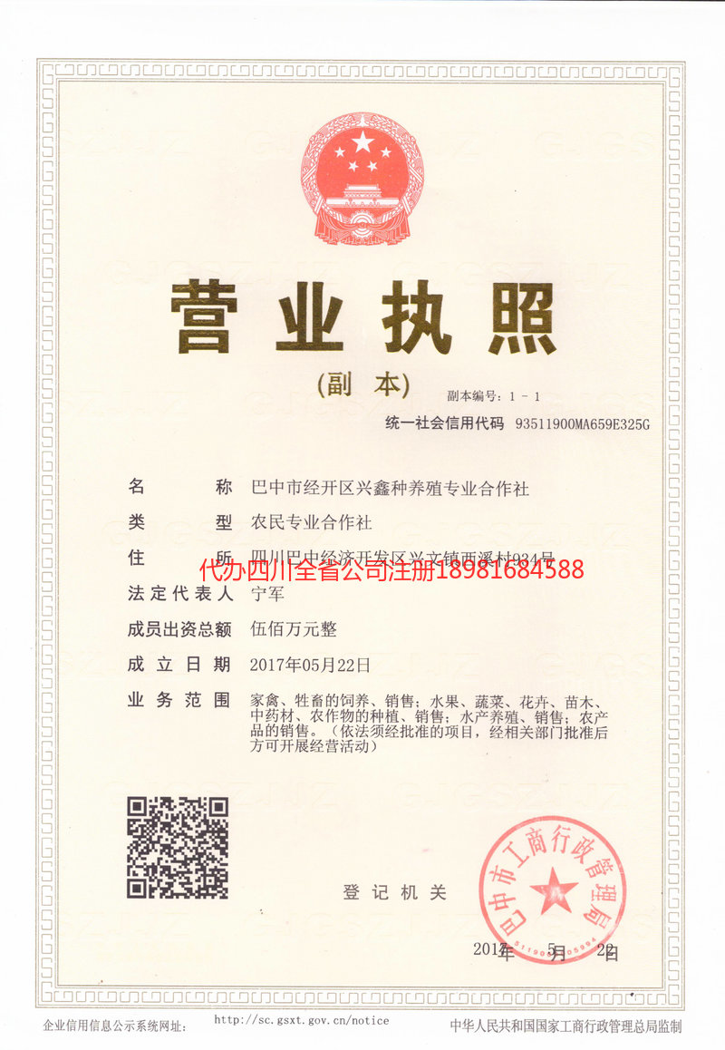 安达安达兴鑫种养殖专业合作社